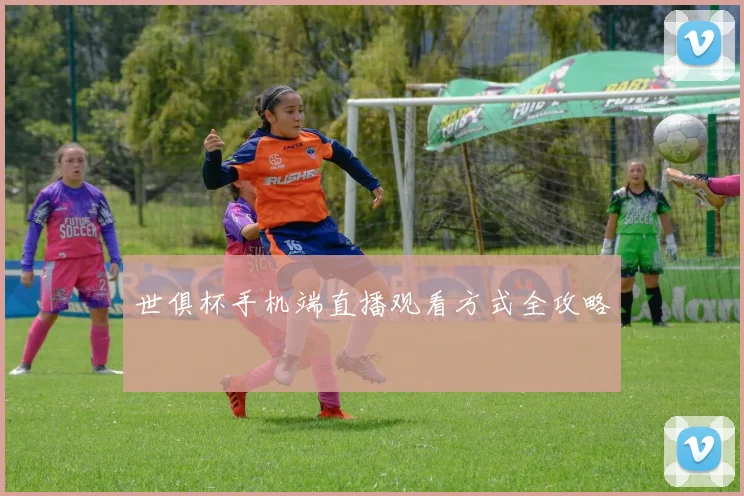 世俱杯手机端直播观看方式全攻略